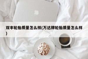 双丰轮胎质量怎么样(万达牌轮胎质量怎么样)