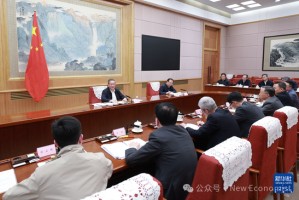 李强主持召开经济形势专家和企业家座谈会，经济学家张斌、李迅雷、沈建光等先后发言