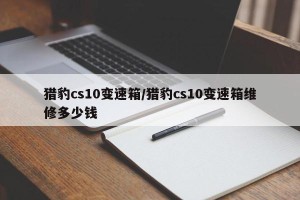 猎豹cs10变速箱/猎豹cs10变速箱维修多少钱