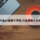 【六金ye是哪个学校,六金是哪个大学的】