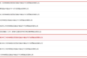 卸任9只产品！工银瑞信FOF投资部总经理、基金经理蒋华安离职