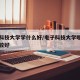 电子科技大学学什么好/电子科技大学哪个专业比较好