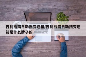 吉利熊猫自动挡变速箱/吉利熊猫自动挡变速箱是什么牌子的