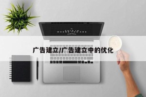 广告建立/广告建立中的优化