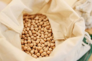 短纤的数量是怎样的？这一数量设置的原因是什么？