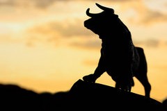 炒股的核心要素是什么？这些要素如何影响炒股的结果？