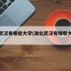 湖北武汉有哪些大学(湖北武汉有哪些大学分数线)