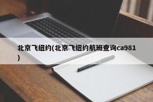 北京飞纽约(北京飞纽约航班查询ca981)