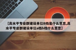 【高水平专业群建设单位B档是什么意思,高水平专业群建设单位a档b档什么意思】