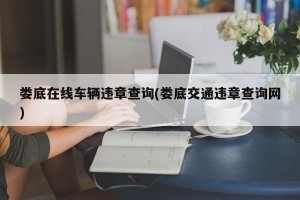 娄底在线车辆违章查询(娄底交通违章查询网)