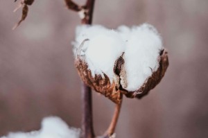 连续存期的含义是什么？连续存期在金融领域的应用有哪些？