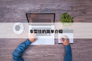 车型壮的简单介绍