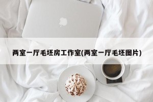两室一厅毛坯房工作室(两室一厅毛坯图片)