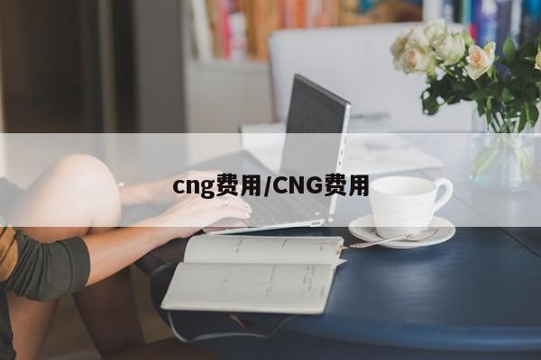 cng费用/CNG费用