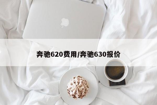 奔驰620费用/奔驰630报价