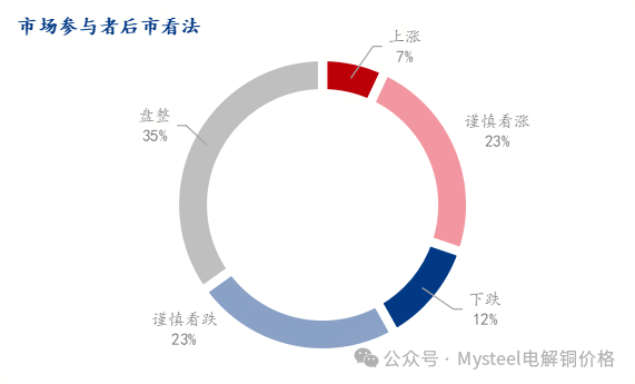 Mysteel调研：中国铜市情绪调研（2025.5.9）